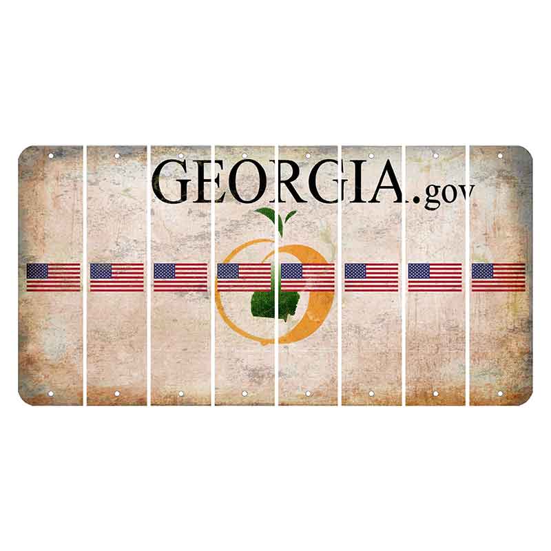 Georgia.gov Cut License Plate Strips (Set of 8) American Flag