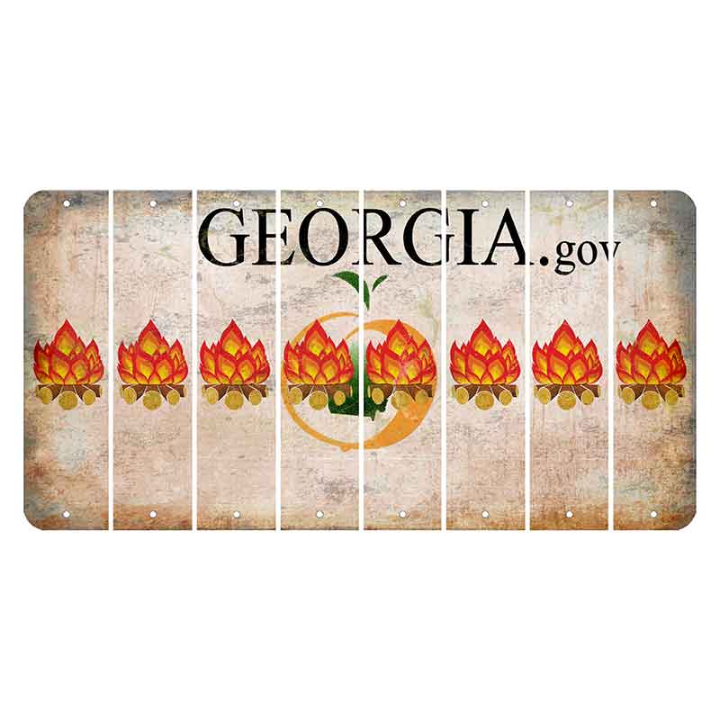 Georgia.gov Cut License Plate Strips (Set of 8)