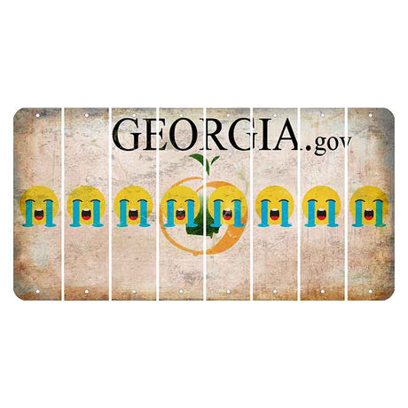 Georgia.gov Cut License Plate Strips (Set of 8)