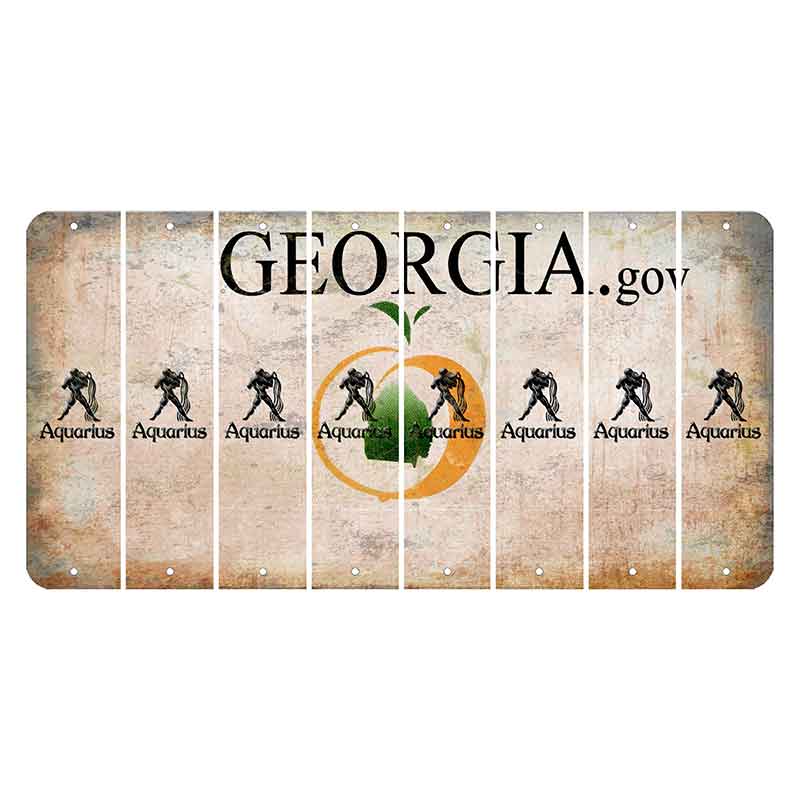 Georgia.gov Cut License Plate Strips (Set of 8) Zodiac Sign - Aquarius