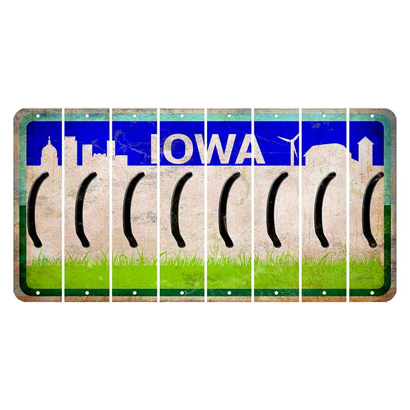 Iowa Grass Field Cut License Plate Strips (Set of 8) Parenthesis - Left