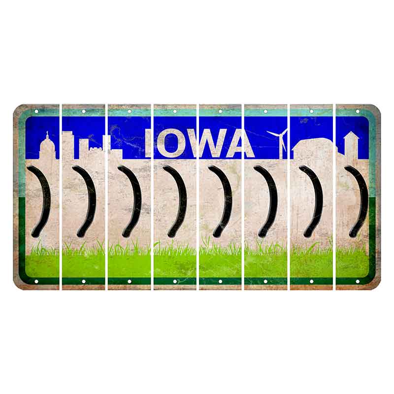 Iowa Grass Field Cut License Plate Strips (Set of 8) Parenthesis - Right