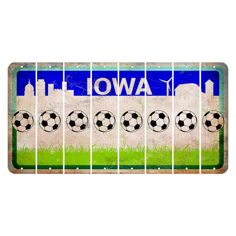 Iowa Grass Field Cut License Plate Strips (Set of 8) Soccerball