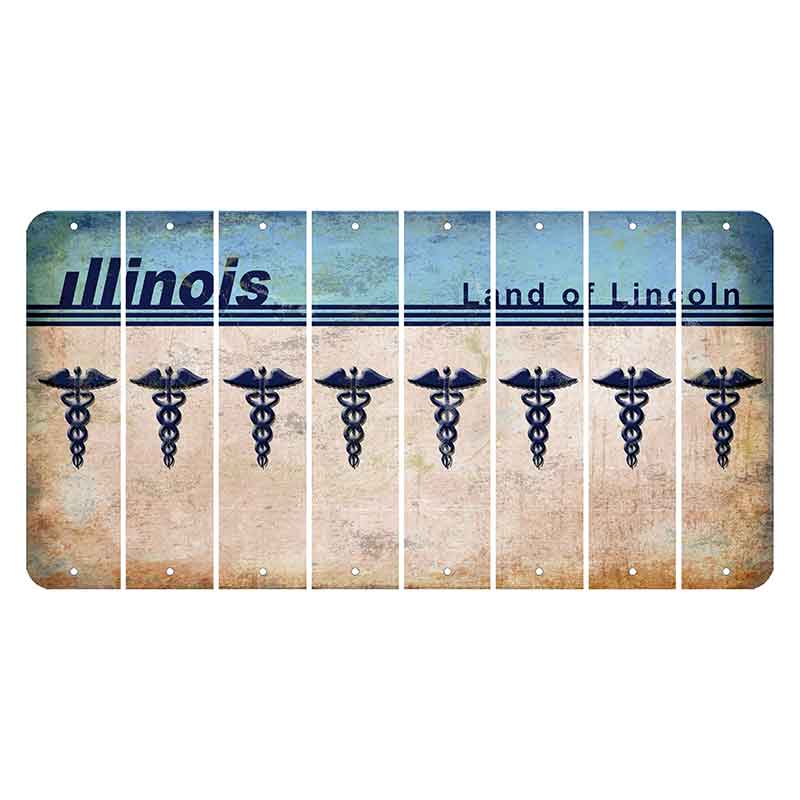 Illinois Light Blue Cut License Plate Strips (Set of 8)