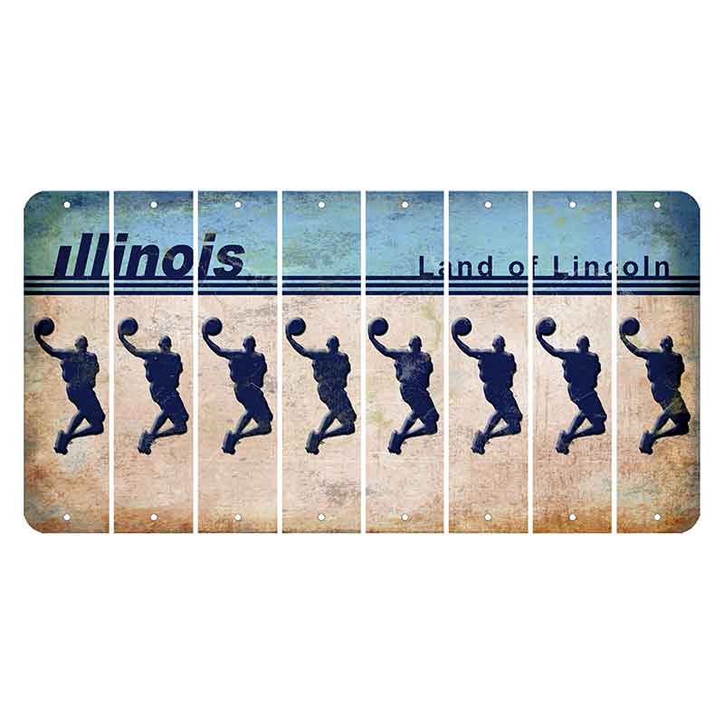 Illinois Light Blue Cut License Plate Strips (Set of 8)