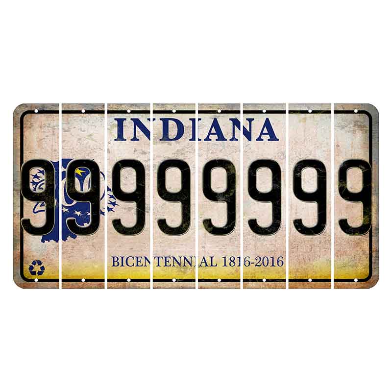 Indiana Bicentennial Cut License Plate Strips (Set of 8)