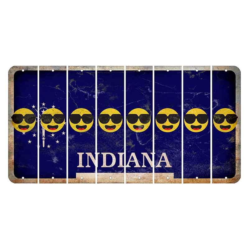 Indiana Blue Cut License Plate Strips (Set of 8)