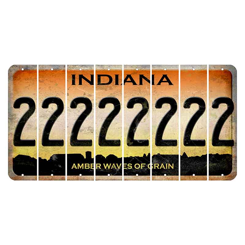 Indiana Amber Wave Cut License Plate Strips (Set of 8) 2