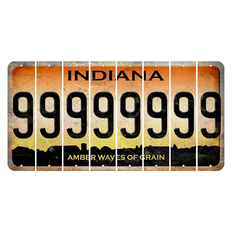 Indiana Amber Wave Cut License Plate Strips (Set of 8) 9