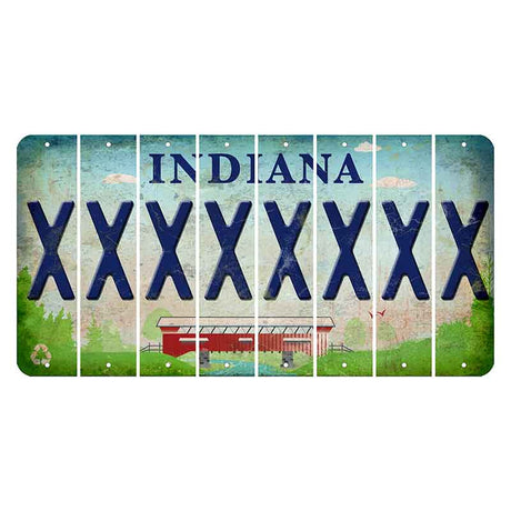 Indiana Recycle Cut License Plate Strips (Set of 8) X