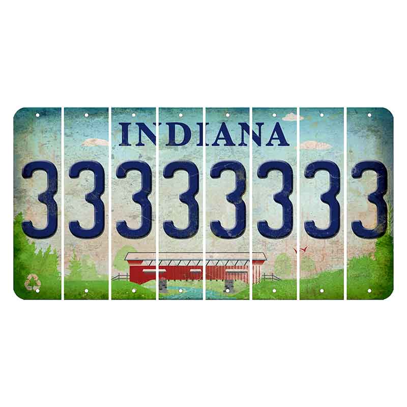 Indiana Recycle Cut License Plate Strips (Set of 8) 3