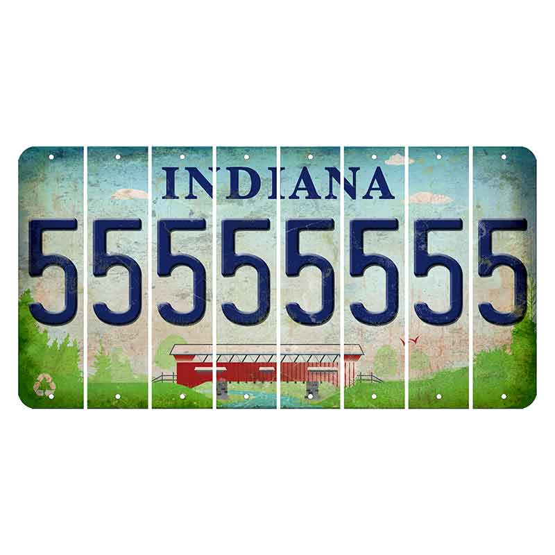 Indiana Recycle Cut License Plate Strips (Set of 8) 5