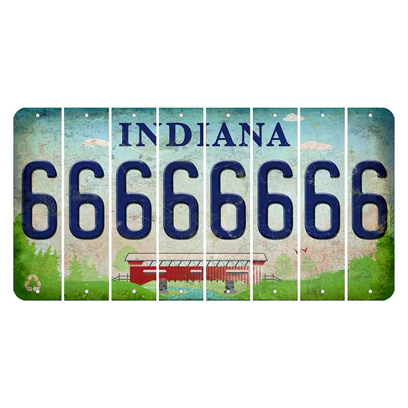 Indiana Recycle Cut License Plate Strips (Set of 8) 6