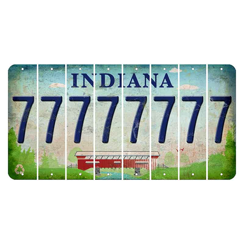 Indiana Recycle Cut License Plate Strips (Set of 8) 7