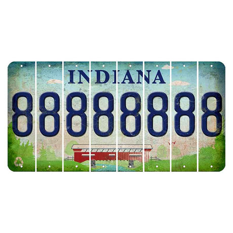 Indiana Recycle Cut License Plate Strips (Set of 8) 8