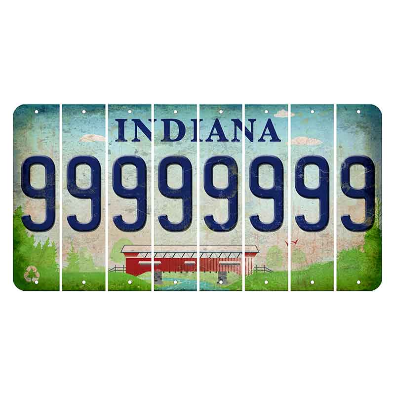 Indiana Recycle Cut License Plate Strips (Set of 8) 9