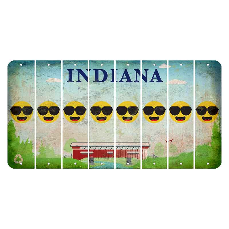 Indiana Recycle Cut License Plate Strips (Set of 8) Emoji - Shades