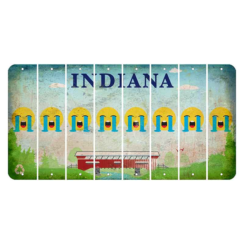 Indiana Recycle Cut License Plate Strips (Set of 8) Emoji - Crying