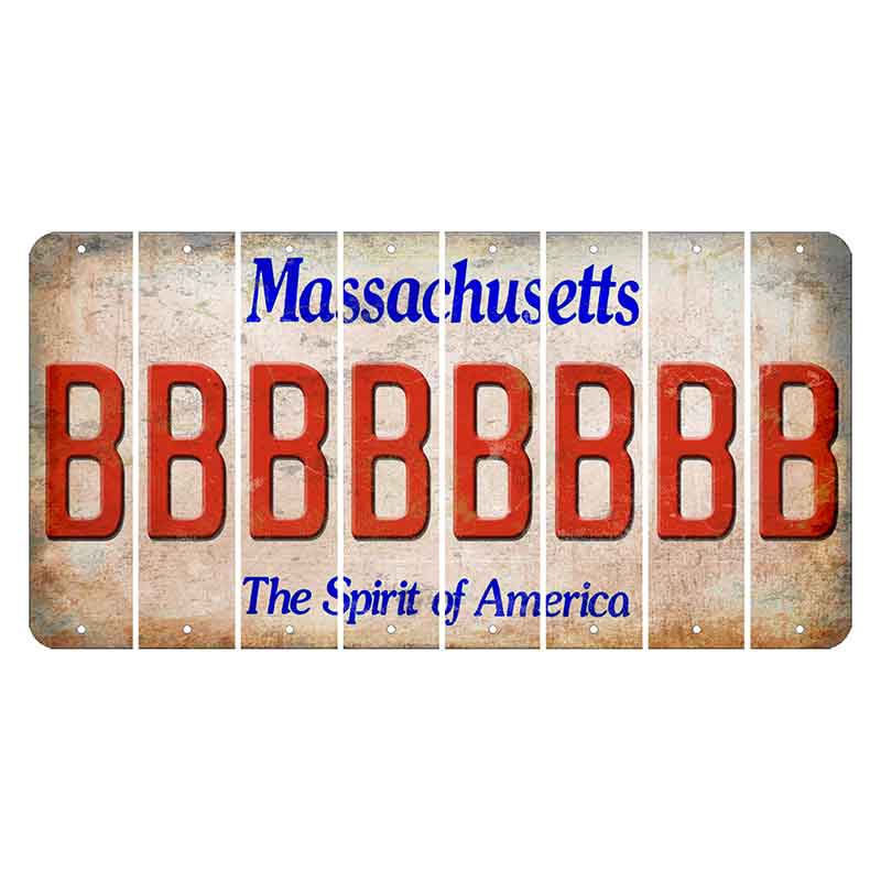 Massachusetts Spirit of America Cut License Plate Strips (Set of 8) B