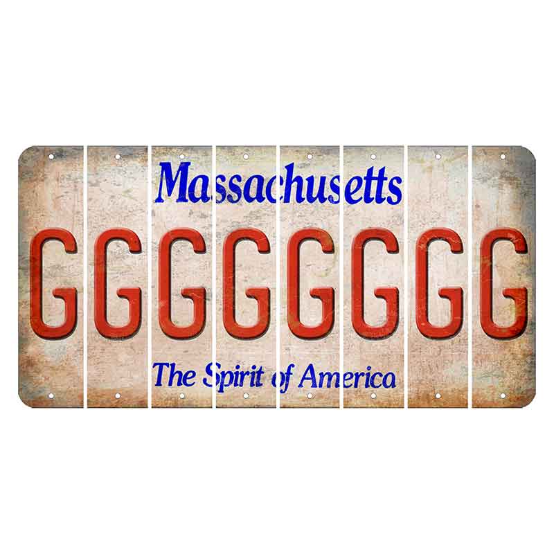 Massachusetts Spirit of America Cut License Plate Strips (Set of 8) G