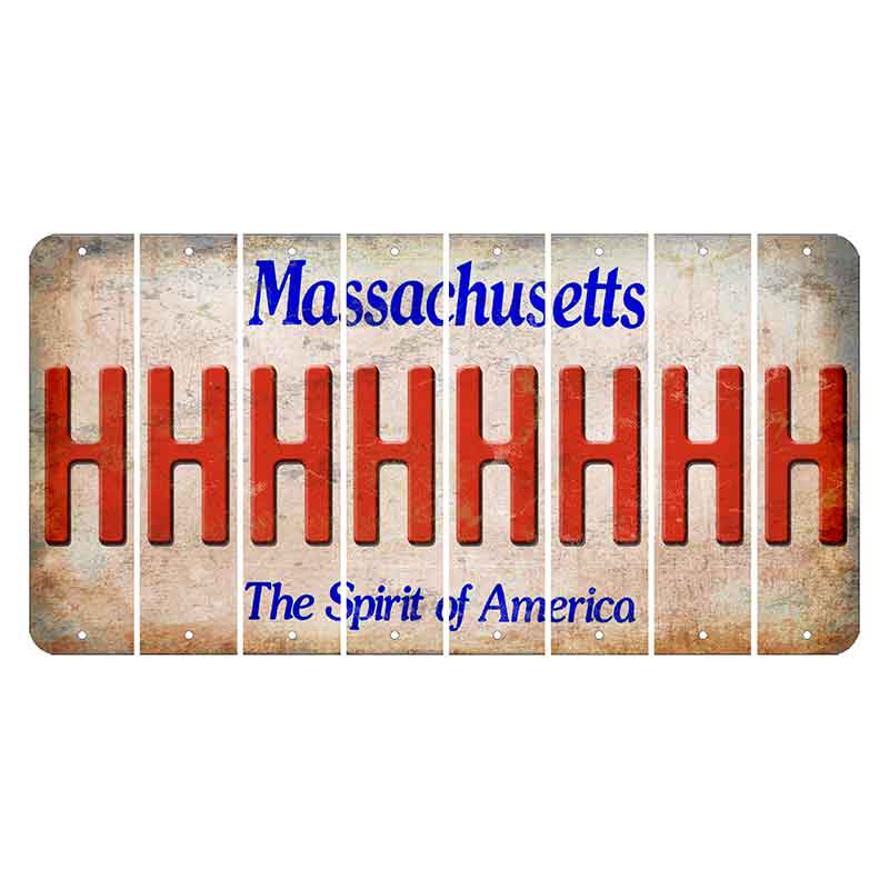 Massachusetts Spirit of America Cut License Plate Strips (Set of 8) H