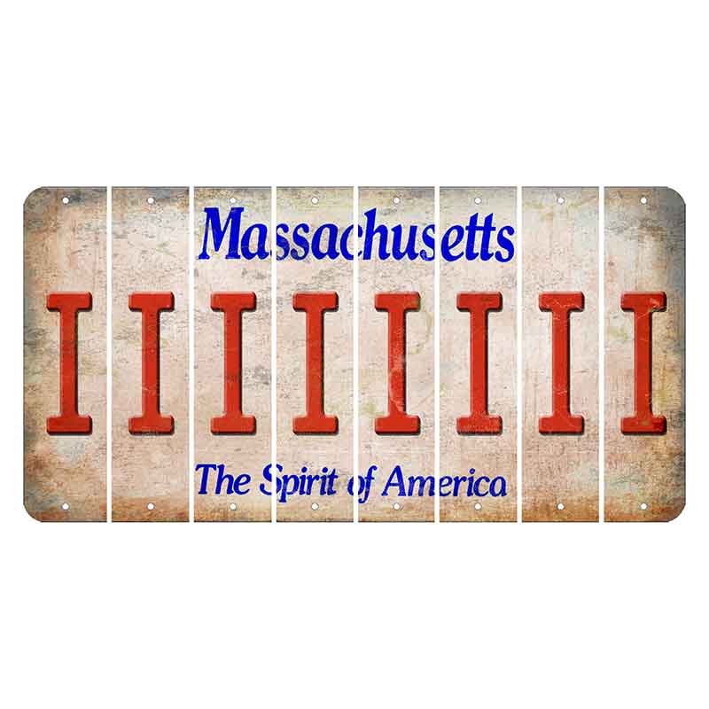 Massachusetts Spirit of America Cut License Plate Strips (Set of 8) I