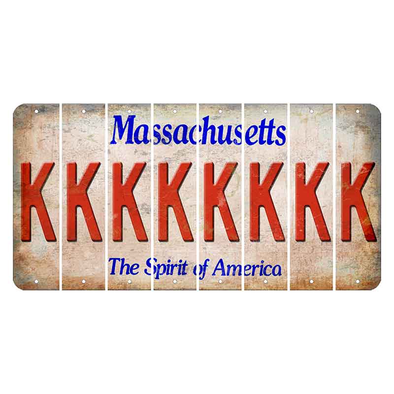 Massachusetts Spirit of America Cut License Plate Strips (Set of 8) K