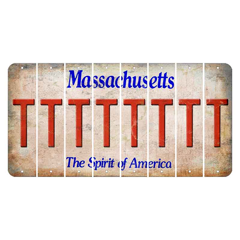 Massachusetts Spirit of America Cut License Plate Strips (Set of 8) T