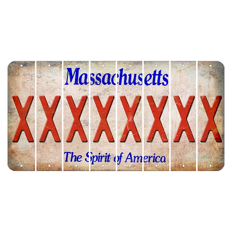 Massachusetts Spirit of America Cut License Plate Strips (Set of 8) X