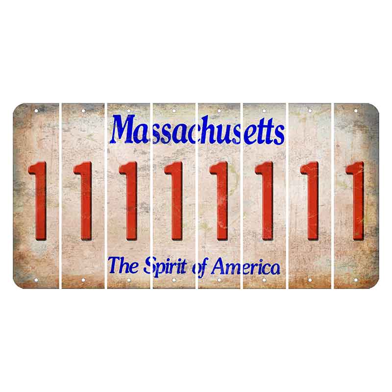 Massachusetts Spirit of America Cut License Plate Strips (Set of 8) 1