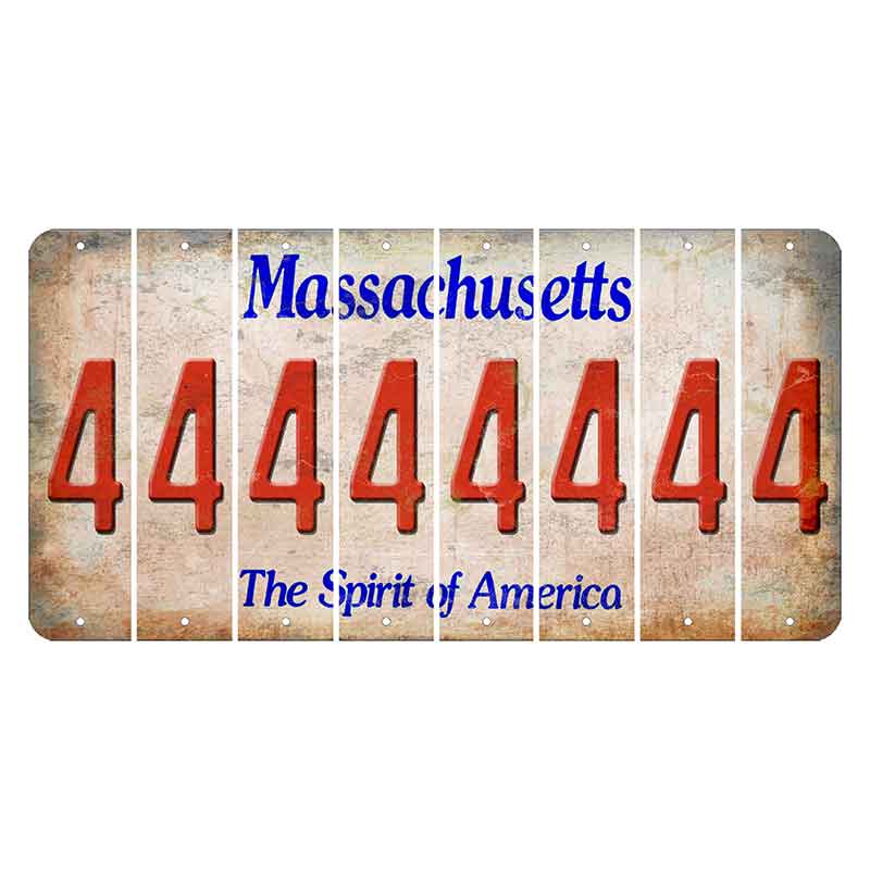 Massachusetts Spirit of America Cut License Plate Strips (Set of 8) 4