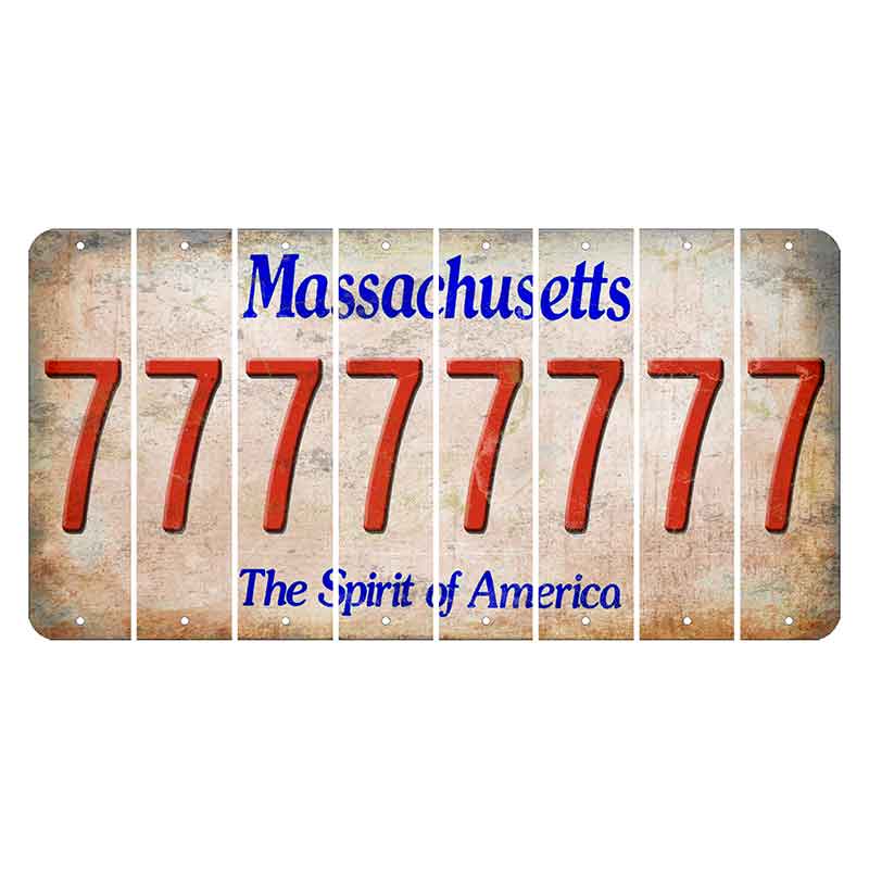 Massachusetts Spirit of America Cut License Plate Strips (Set of 8) 7