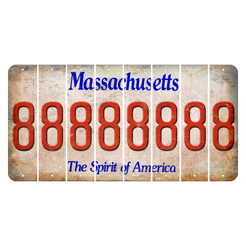 Massachusetts Spirit of America Cut License Plate Strips (Set of 8) 8