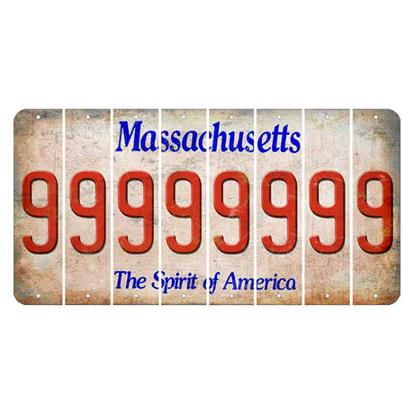 Massachusetts Spirit of America Cut License Plate Strips (Set of 8) 9