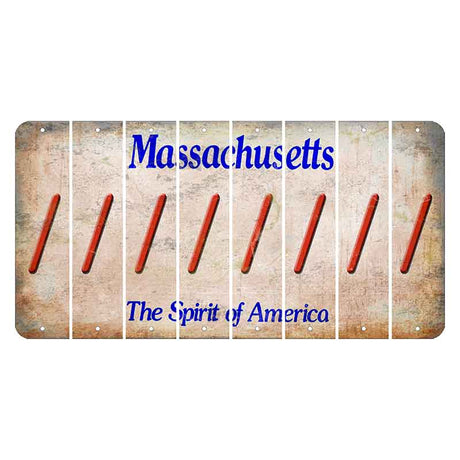 Massachusetts Spirit of America Cut License Plate Strips (Set of 8) Forward Slash