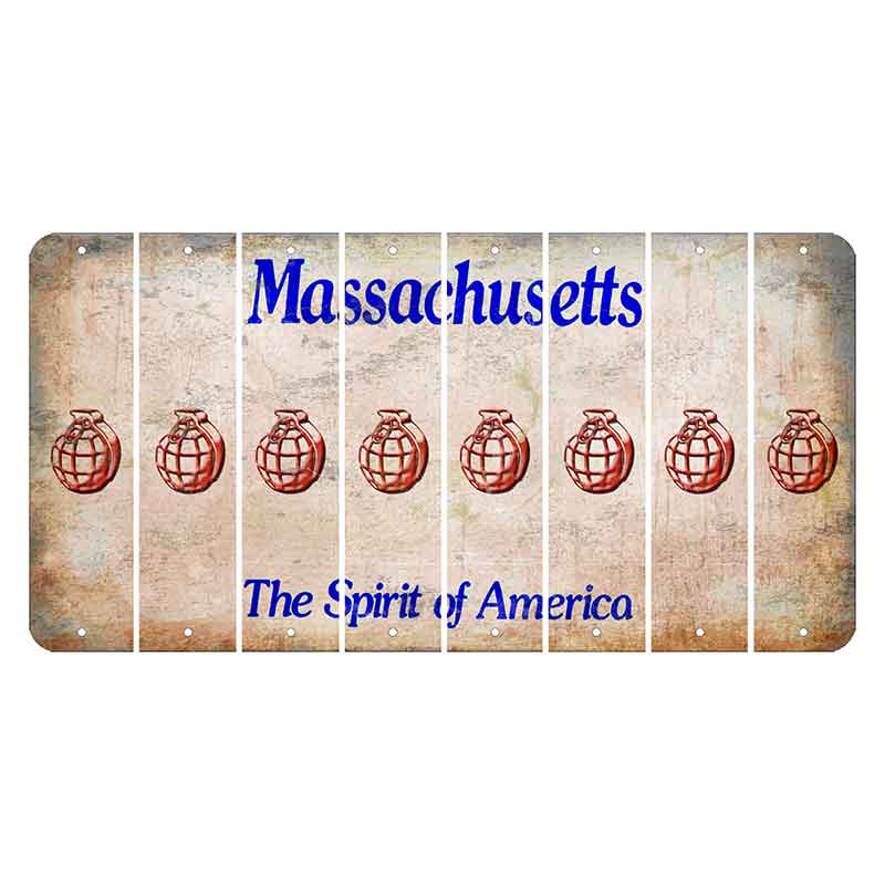 Massachusetts Spirit of America Cut License Plate Strips (Set of 8) Grenade