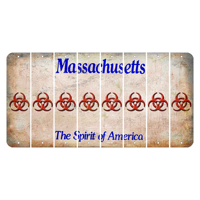 Massachusetts Spirit of America Cut License Plate Strips (Set of 8) Radioactive