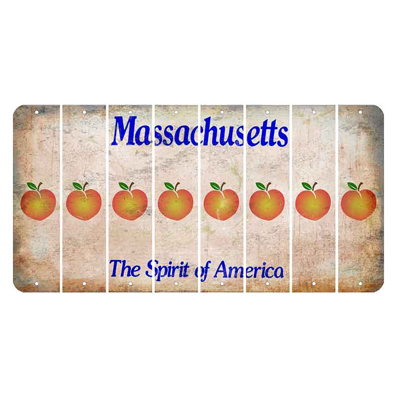 Massachusetts Spirit of America Cut License Plate Strips (Set of 8) Peach