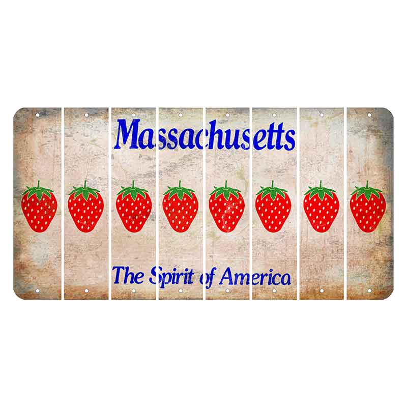 Massachusetts Spirit of America Cut License Plate Strips (Set of 8) Strawberry