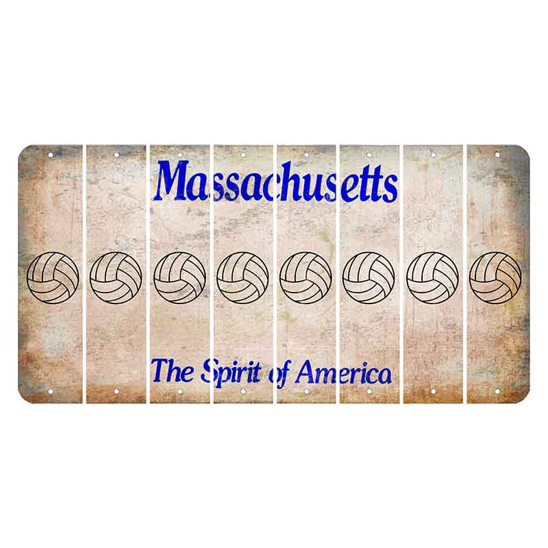 Massachusetts Spirit of America Cut License Plate Strips (Set of 8) Volleyball