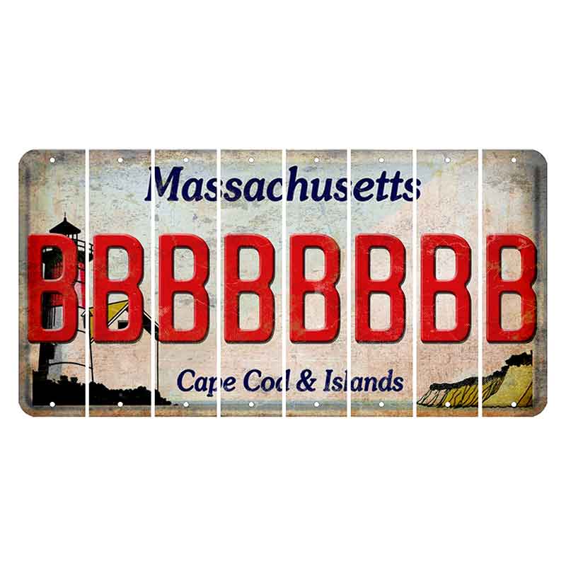 Massachusetts Cape Cod Cut License Plate Strips (Set of 8) B