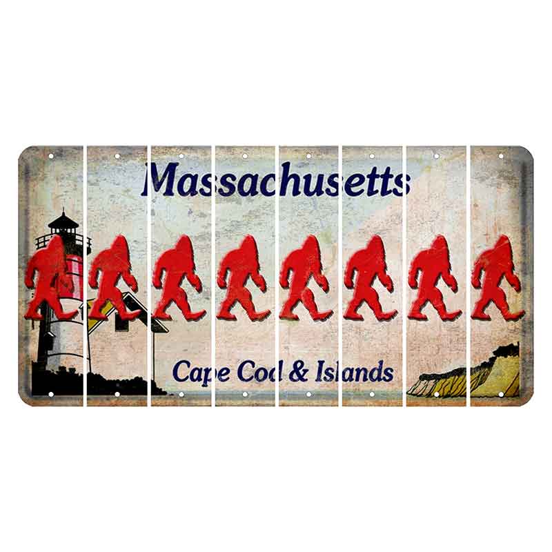 Massachusetts Cape Cod Cut License Plate Strips (Set of 8) Bigfoot