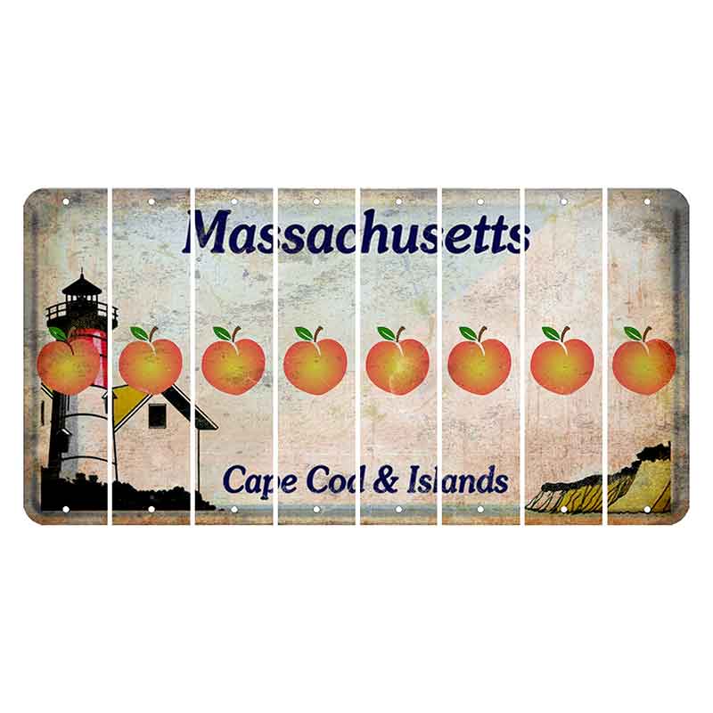 Massachusetts Cape Cod Cut License Plate Strips (Set of 8) Peach