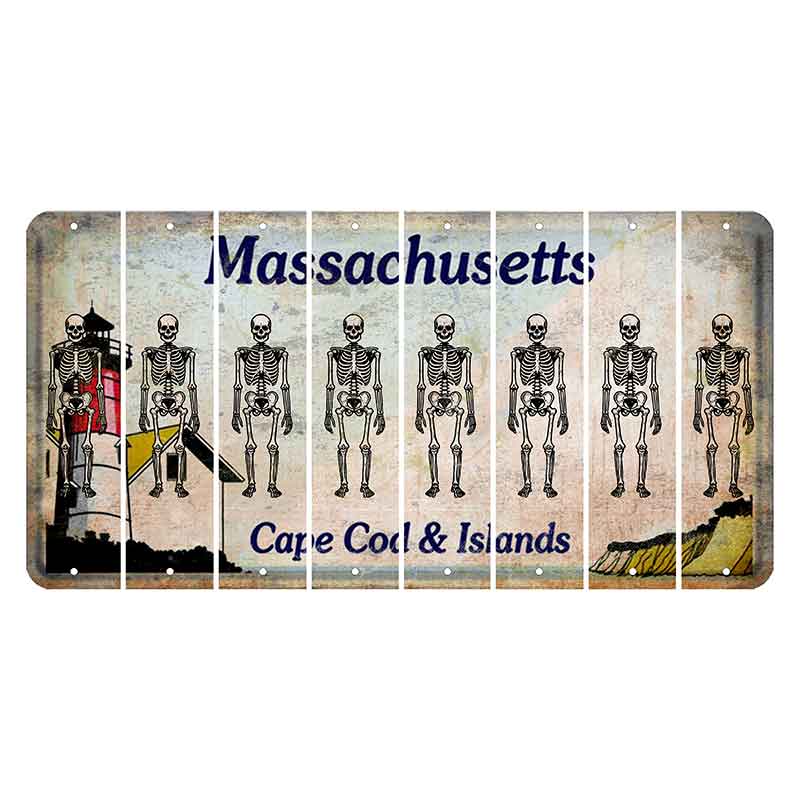 Massachusetts Cape Cod Cut License Plate Strips (Set of 8) Skeleton