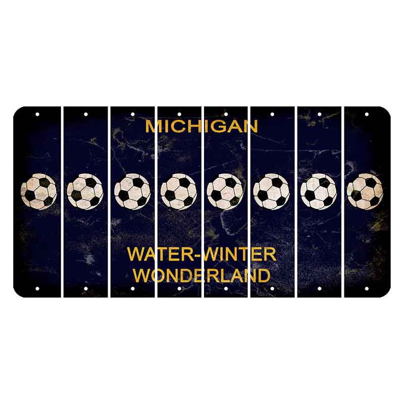 Michigan Water Winter Wonderland Cut License Plate Strips (Set of 8) Soccerball