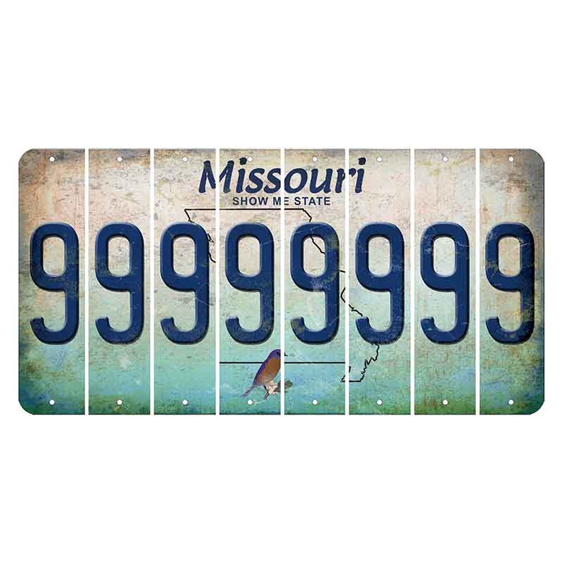 Missouri Bluebird Cut License Plate Strips (Set of 8) 9