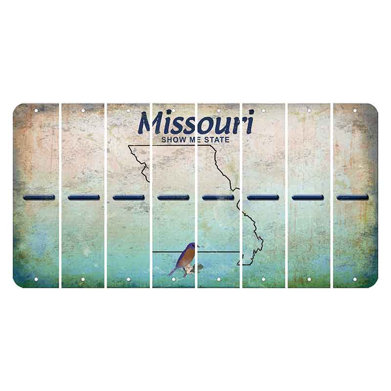 Missouri Bluebird Cut License Plate Strips (Set of 8) Hyphen