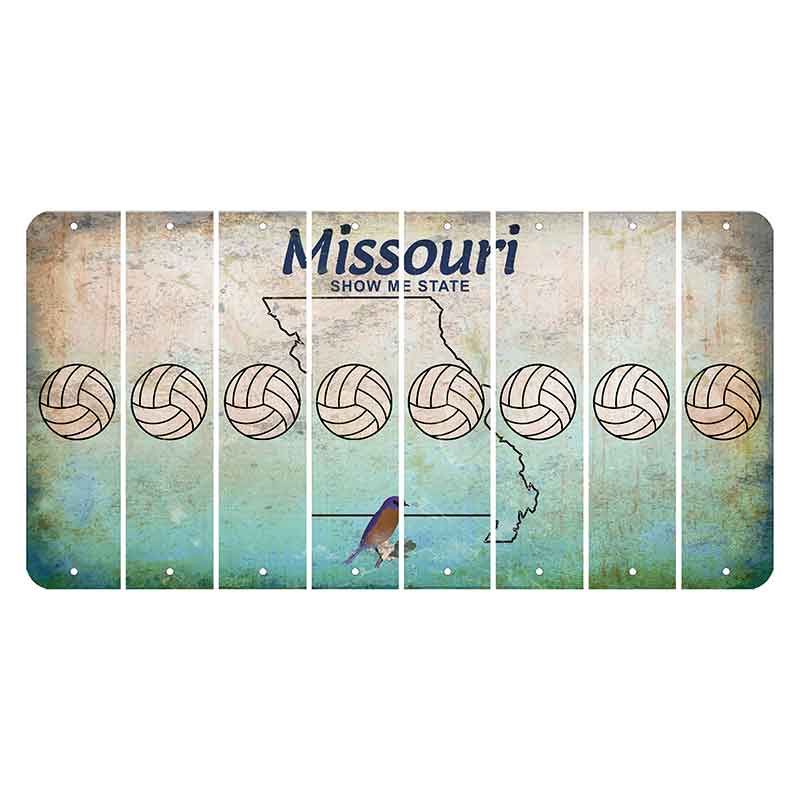 Missouri Bluebird Cut License Plate Strips (Set of 8) Volleyball