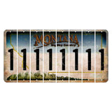 Montana Big Sky Country Cut License Plate Strips (Set of 8) 1