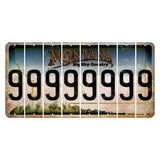 Montana Big Sky Country Cut License Plate Strips (Set of 8) 9